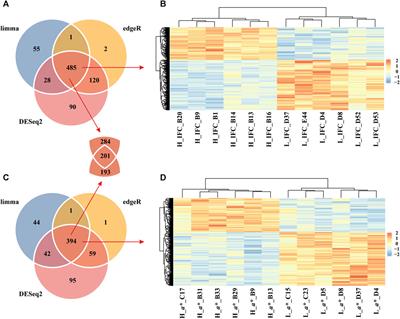 Construction of a co-expression network affecting intramuscular fat content and meat color redness based on transcriptome analysis